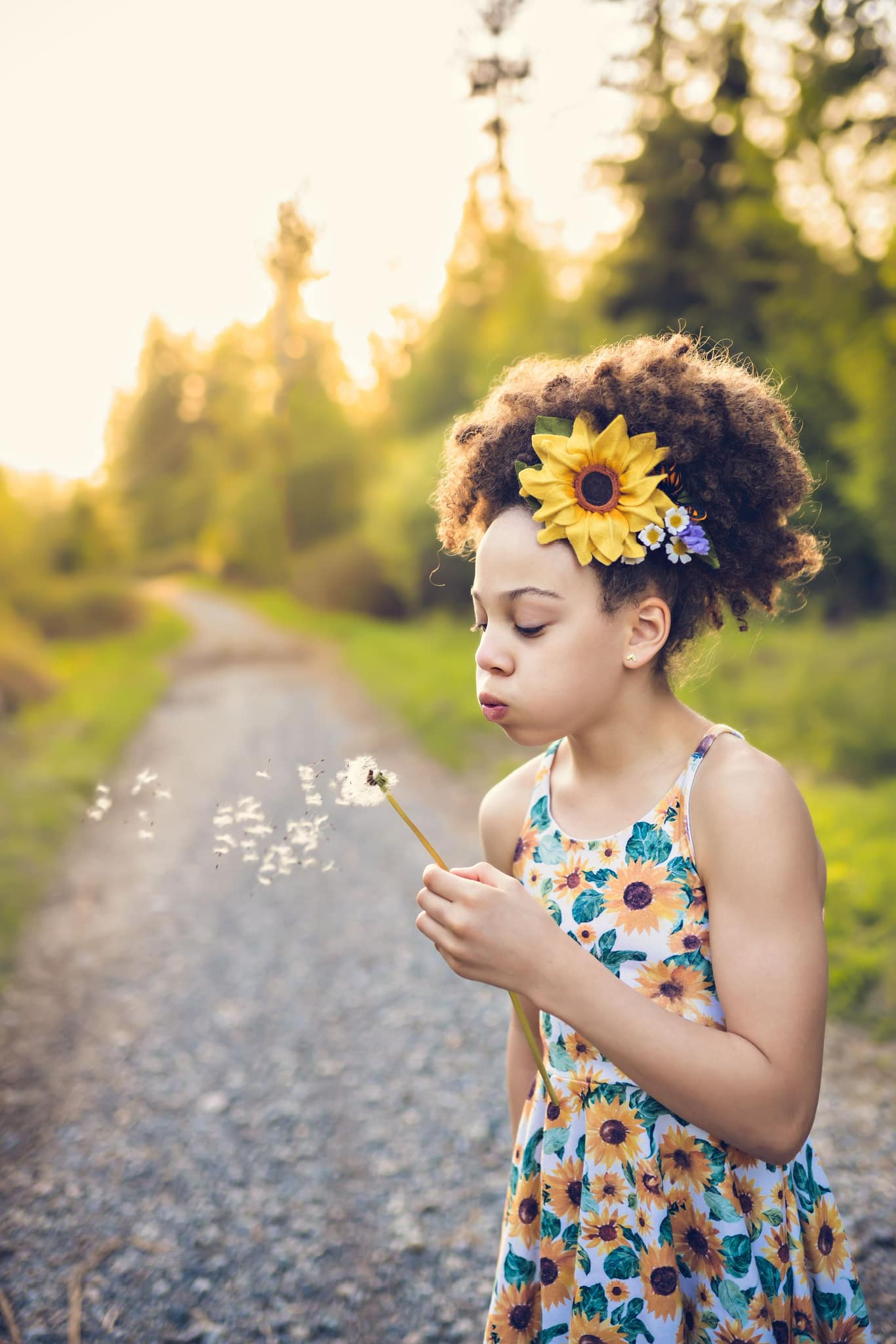 Upper Looper Helianthus  Collab