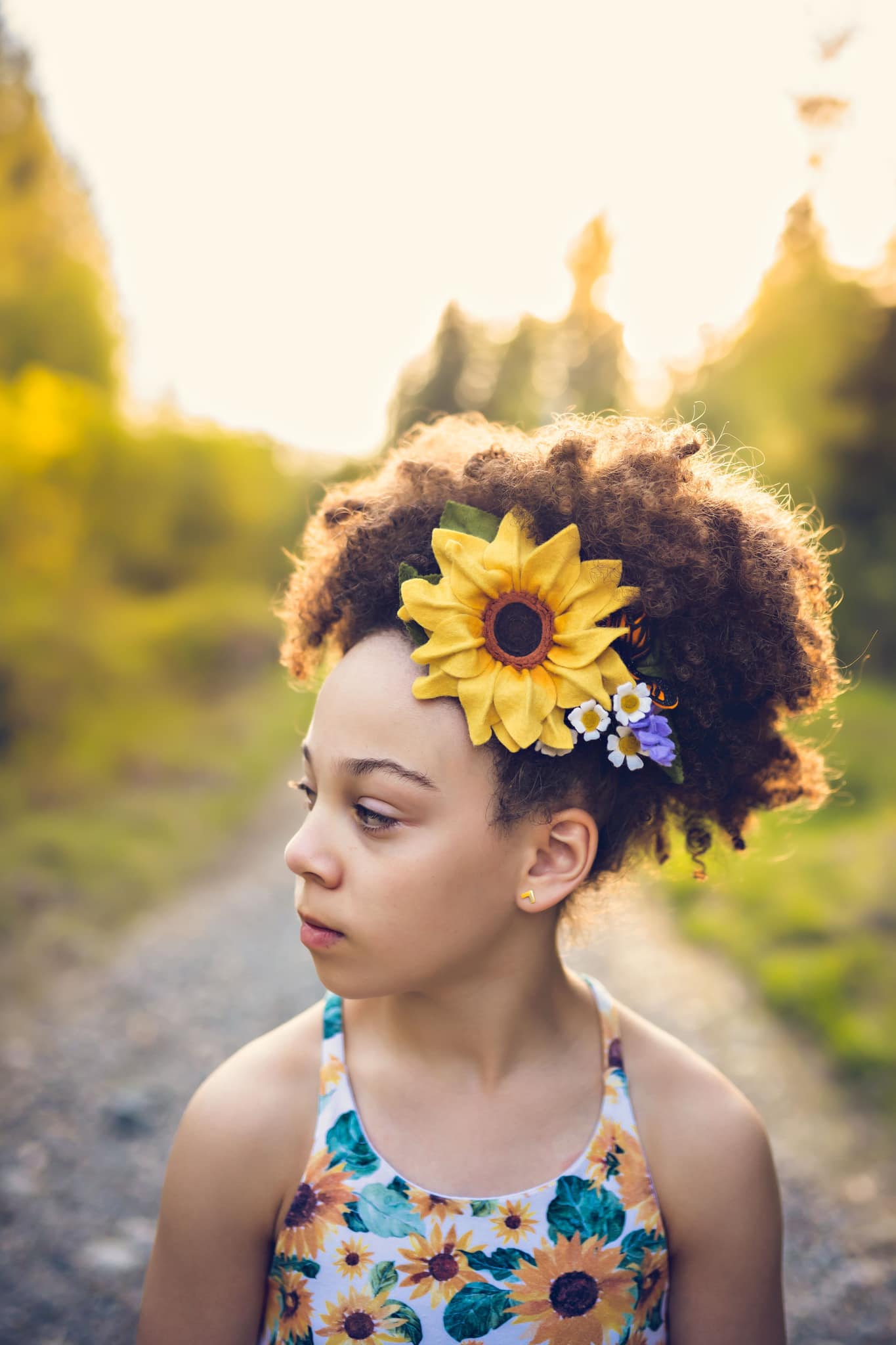 Upper Looper Helianthus  Collab