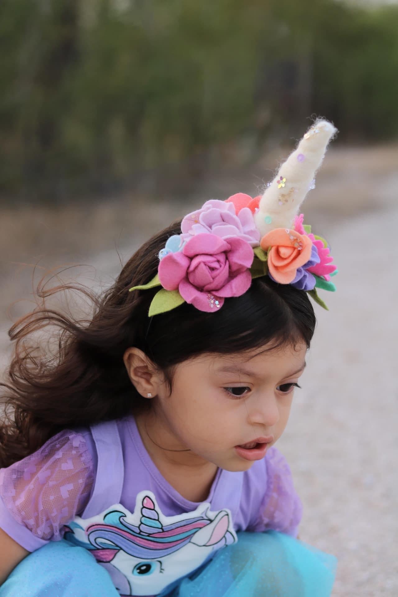 Unicorn Headpiece