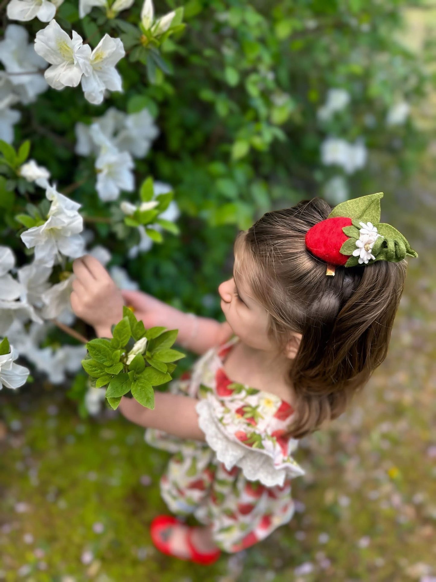 Strawberry Set With Flower Clip