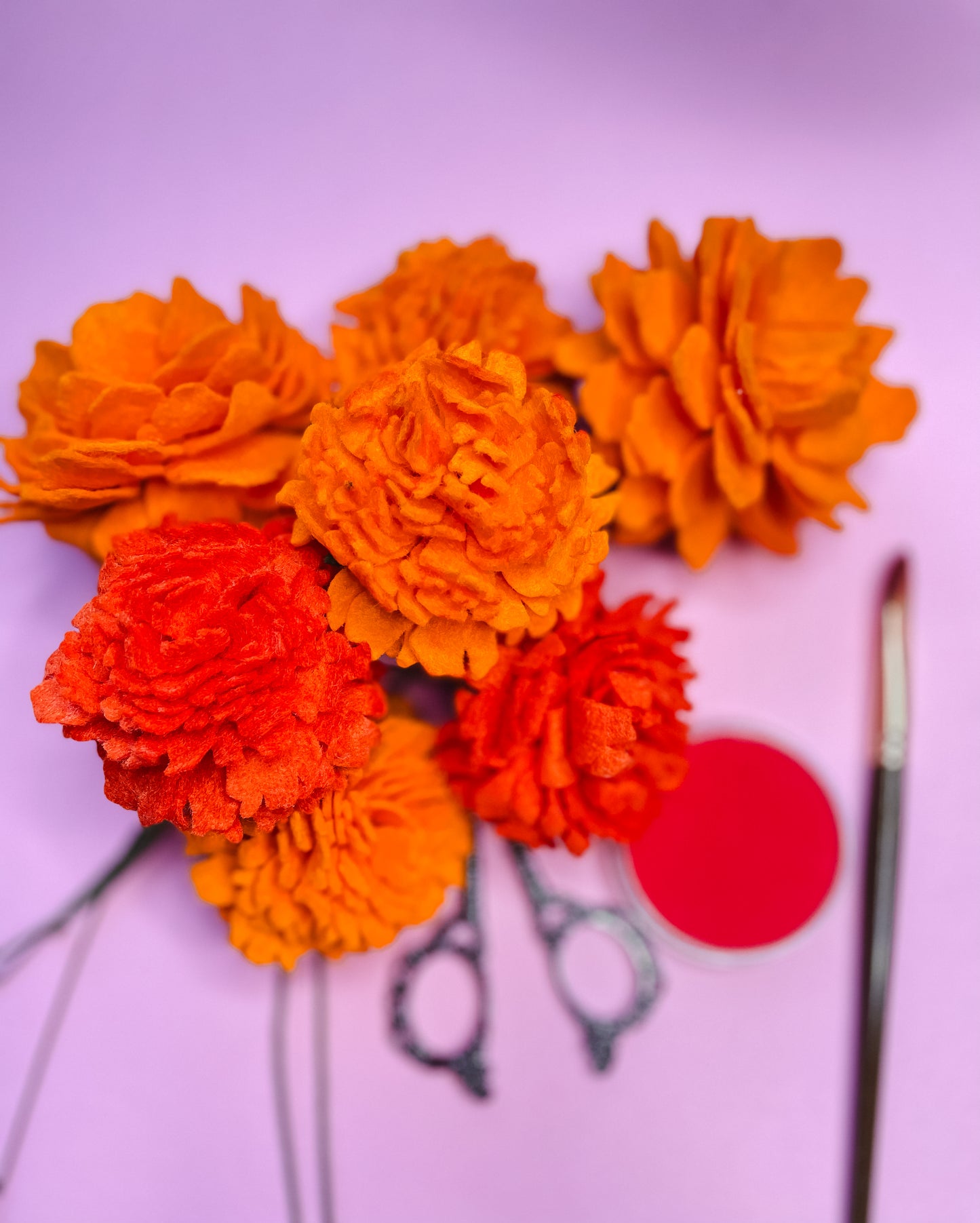 Marigolds & Cempasuchil Flower stems