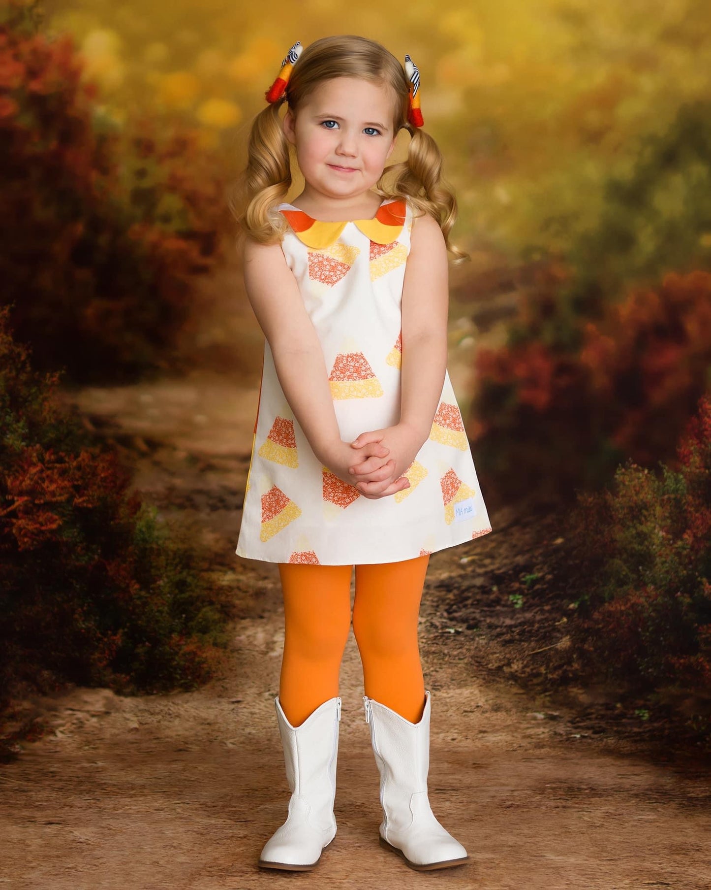 Felted Candy Corn Piggy Set