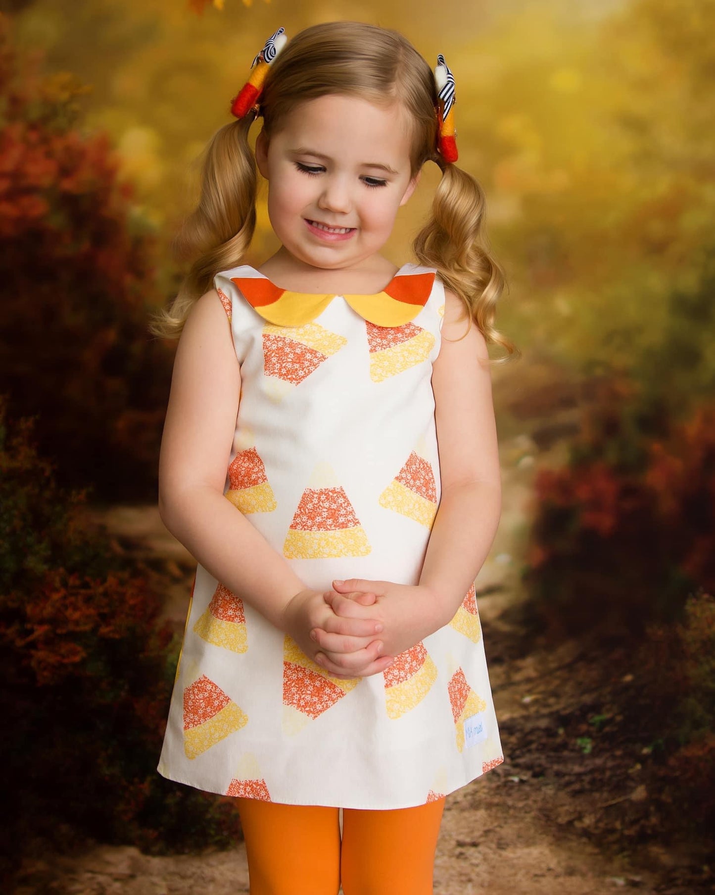 Felted Candy Corn Piggy Set