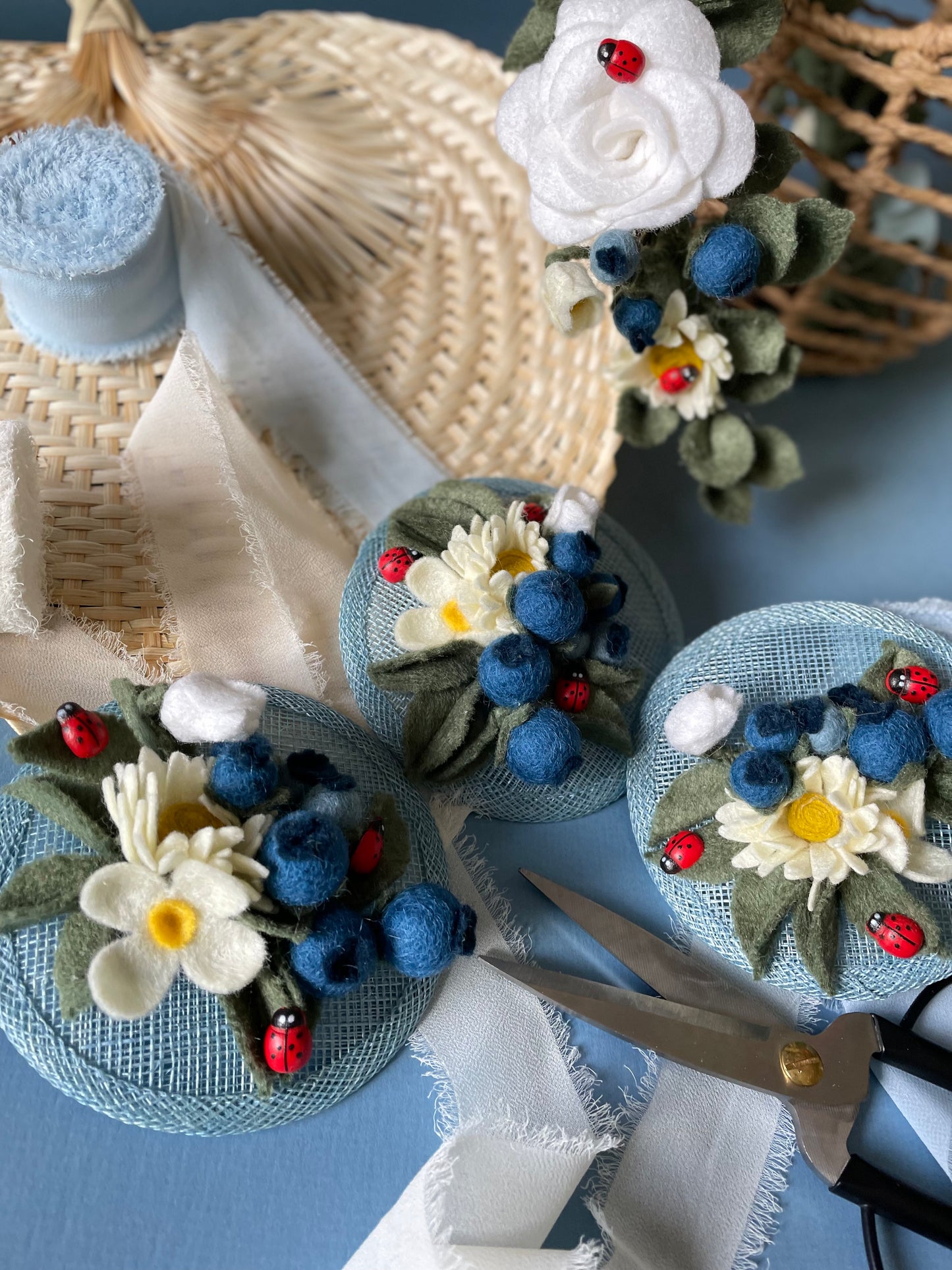 Blueberries Halo