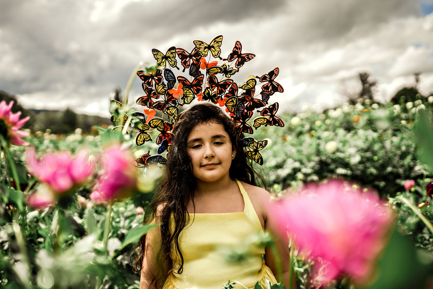 Monarch Headpiece