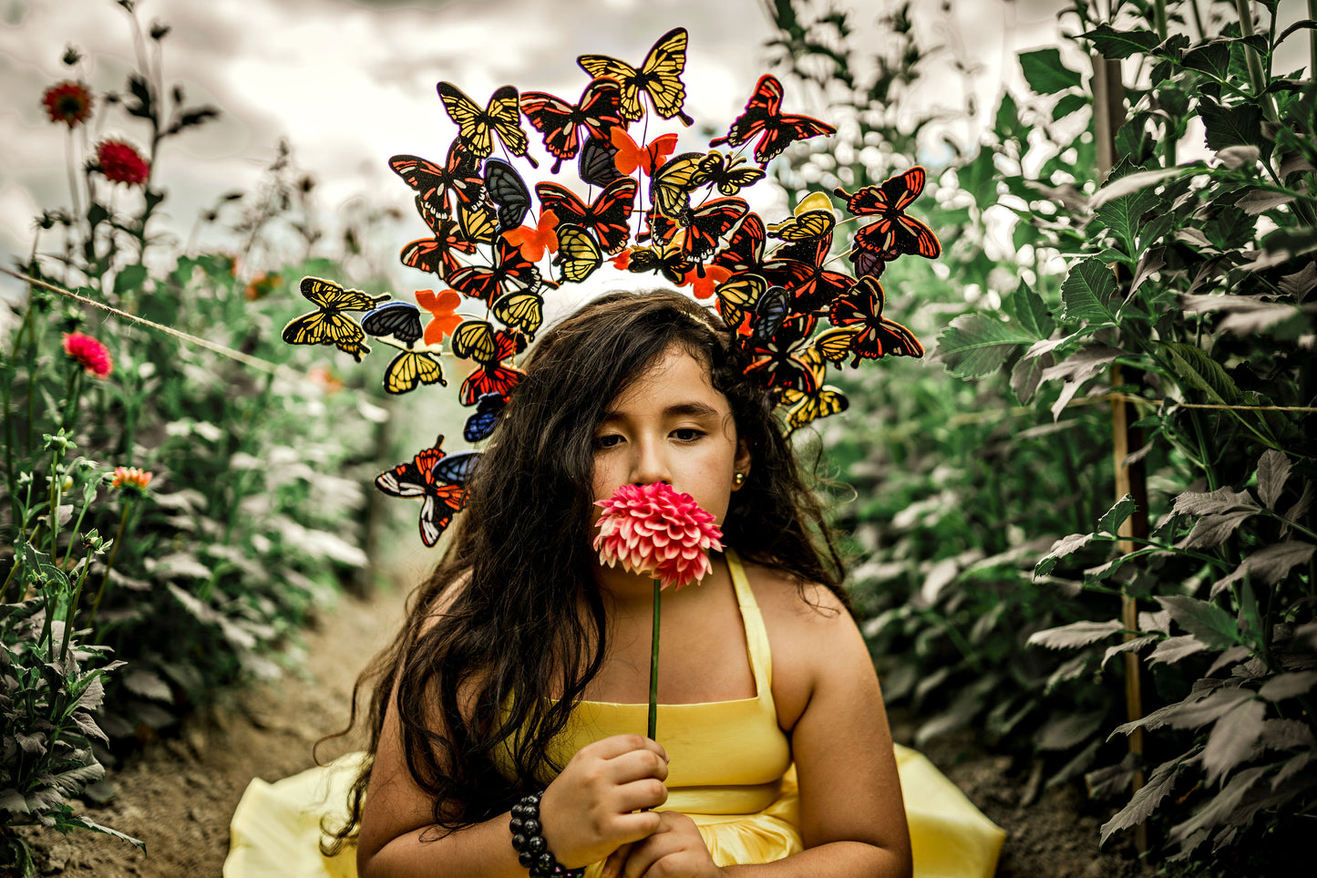 Monarch Headpiece