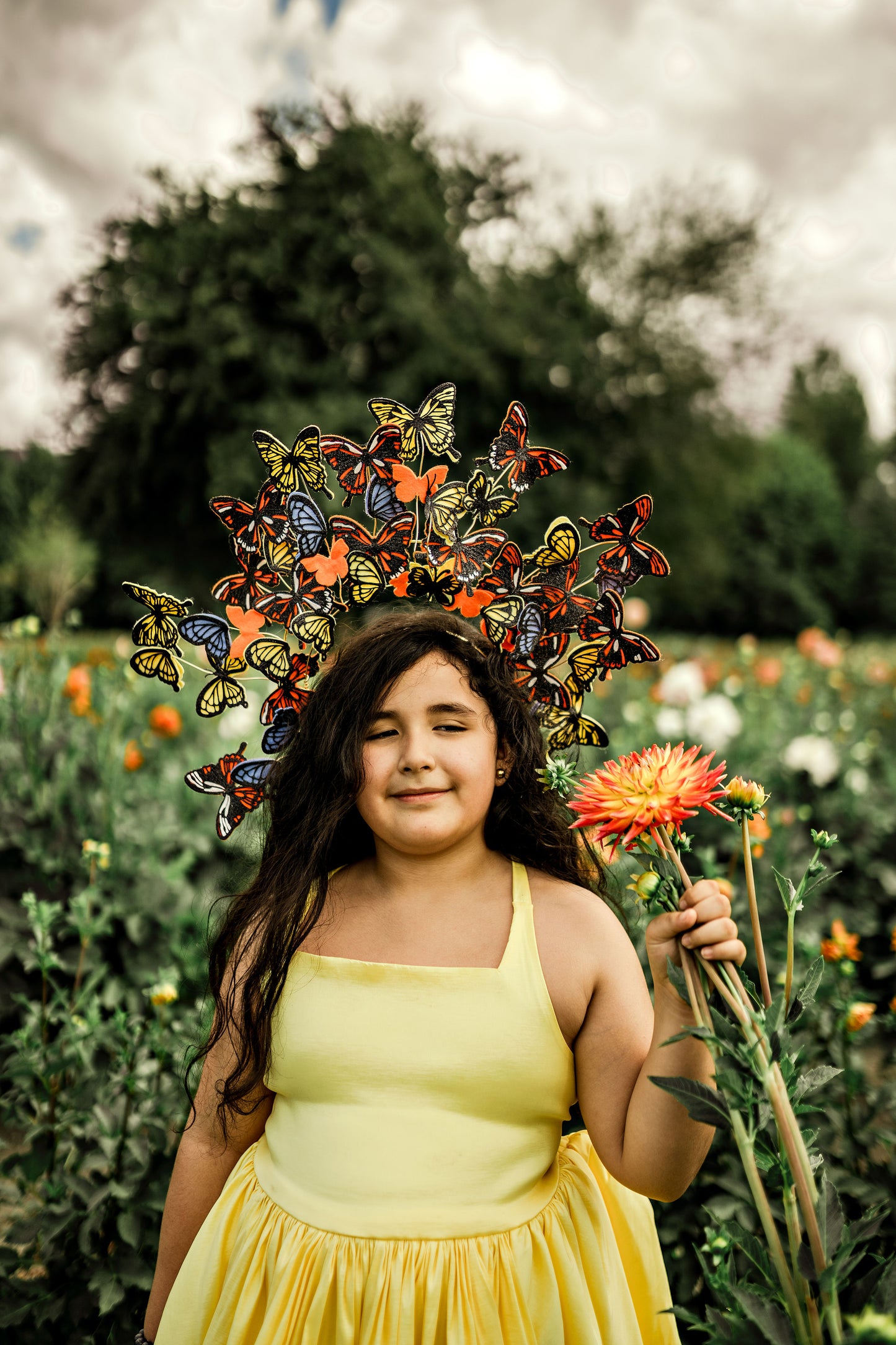 Monarch Headpiece