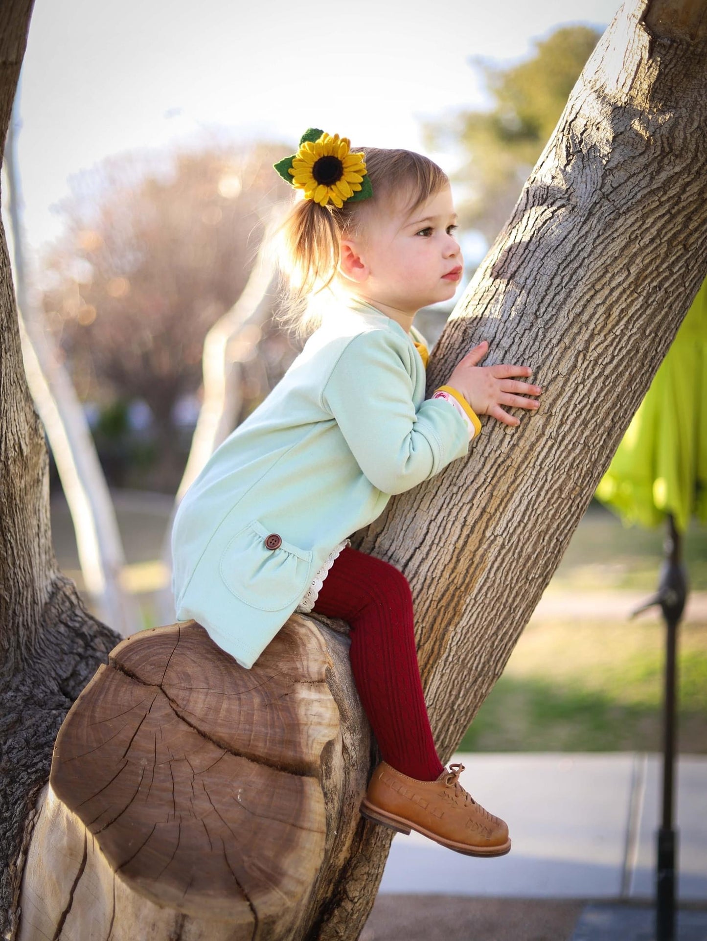Clytie Petite Sunflower