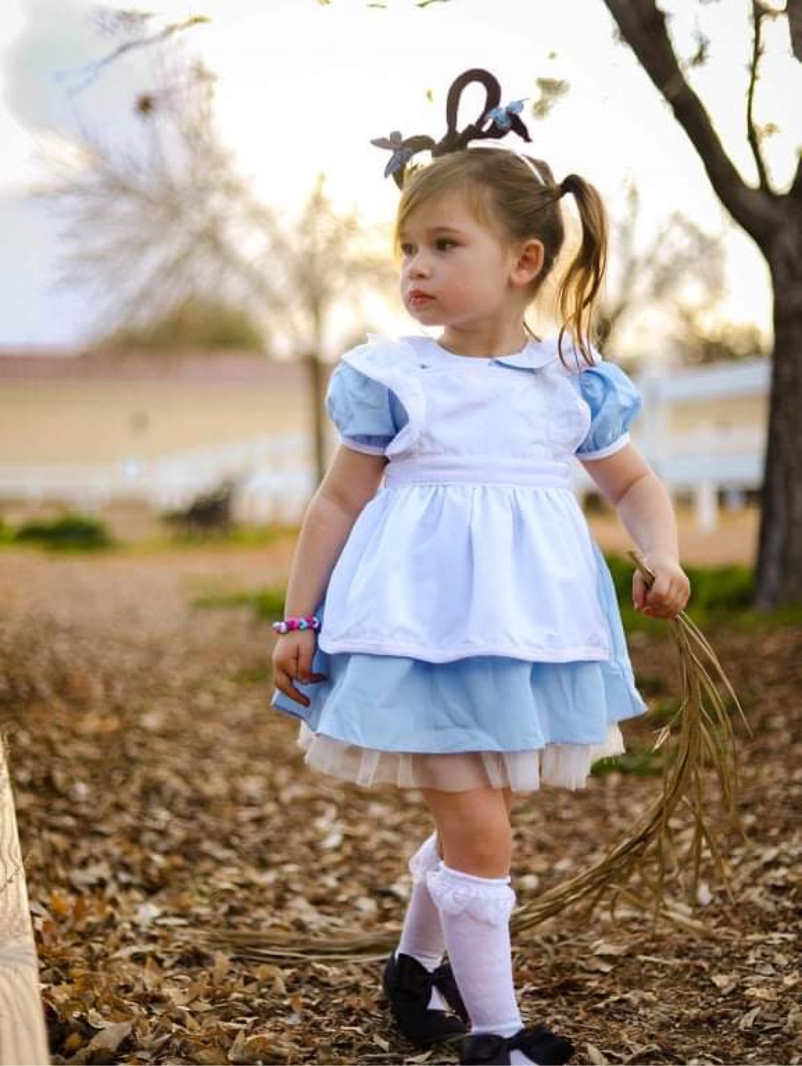 Alice  Butterflies Bow inspired