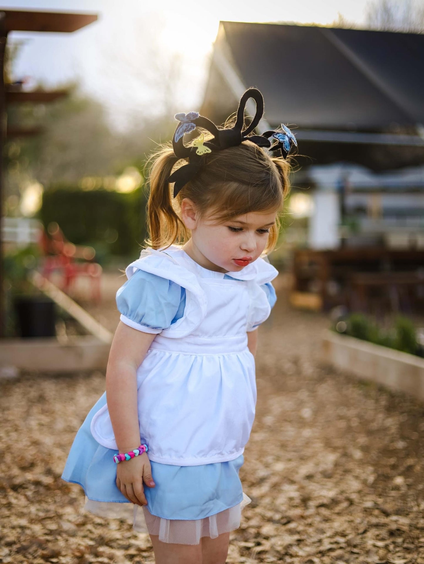 Alice  Butterflies Bow inspired