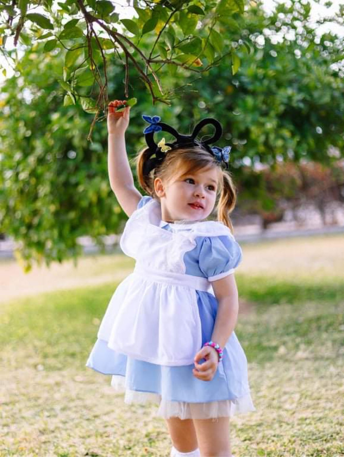 Alice  Butterflies Bow inspired