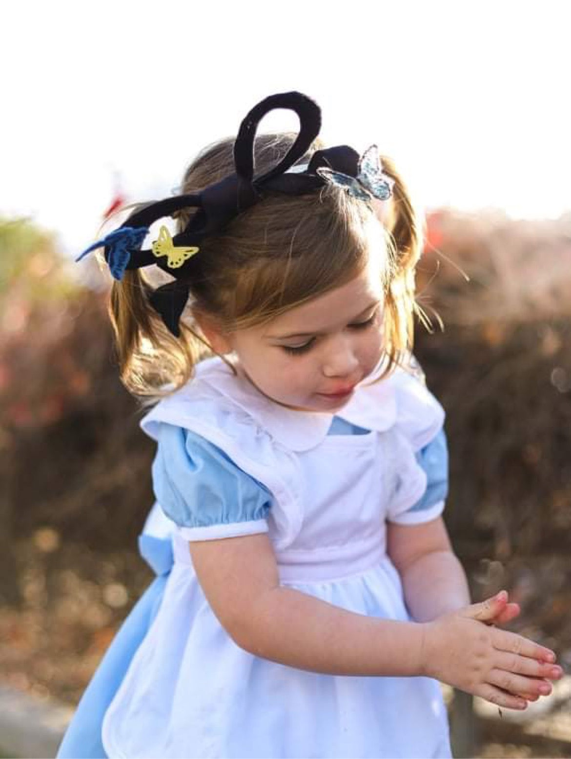 Alice  Butterflies Bow inspired