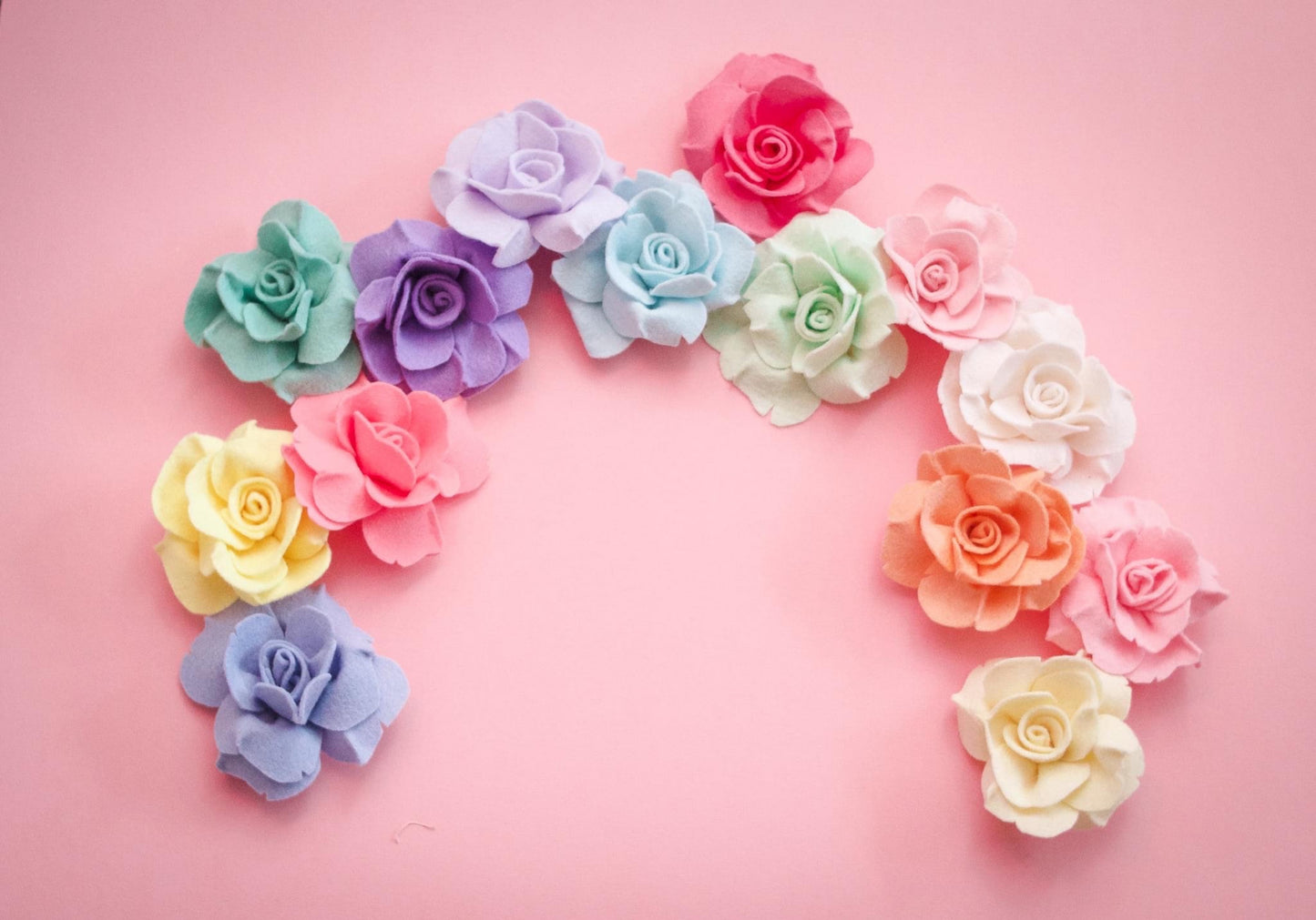 Pastel Rainbow Roses