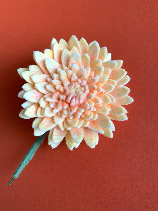 Dahlia Pinnata Clip