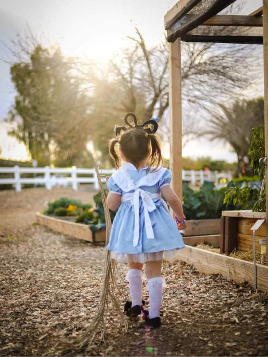 Alice  Butterflies Bow inspired