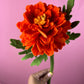 Aztec Marigold| Cempasuchil Workshop Oct.10th