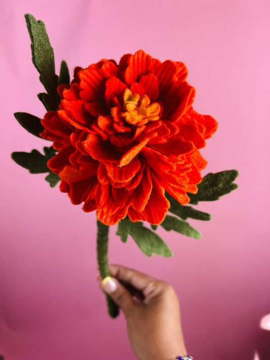 Marigolds & Cempasuchil Flower stems