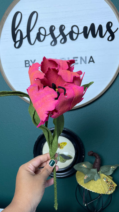 Parrot Tulip Stem