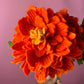 Aztec Marigold| Cempasuchil Workshop Oct.10th