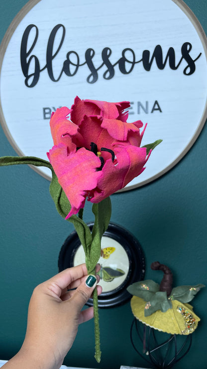 Parrot Tulip Stem