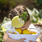 Whole Lemon Side Fascinator
