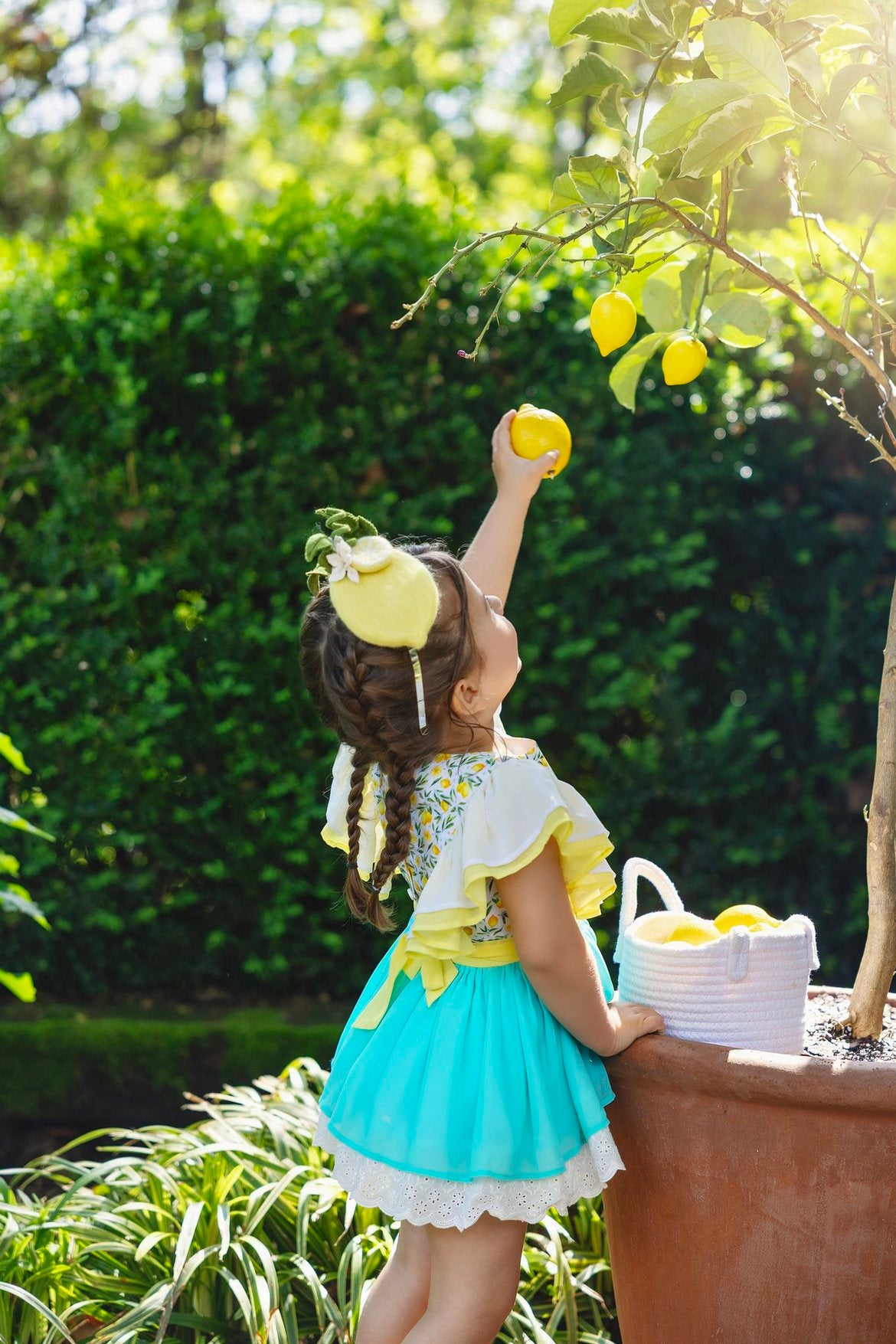 Whole Lemon Side Fascinator