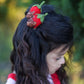 Chocolate Strawberries  Clip Set.