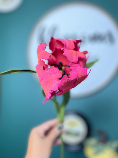 Parrot Tulip Stem