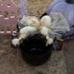 Black Cat Fascinator