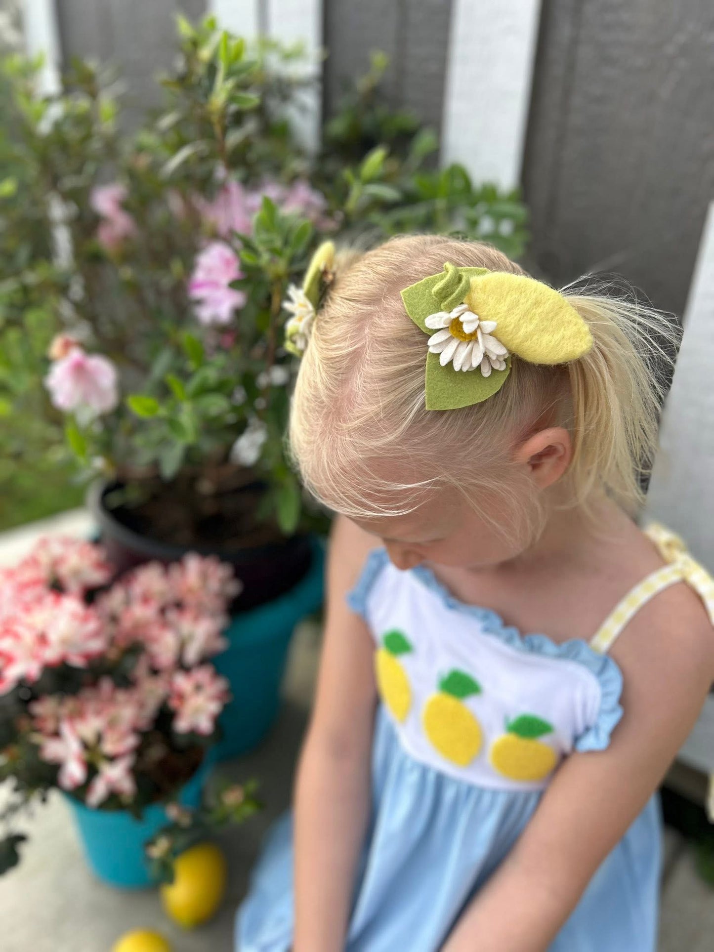 Lemon Zest Hair Clips