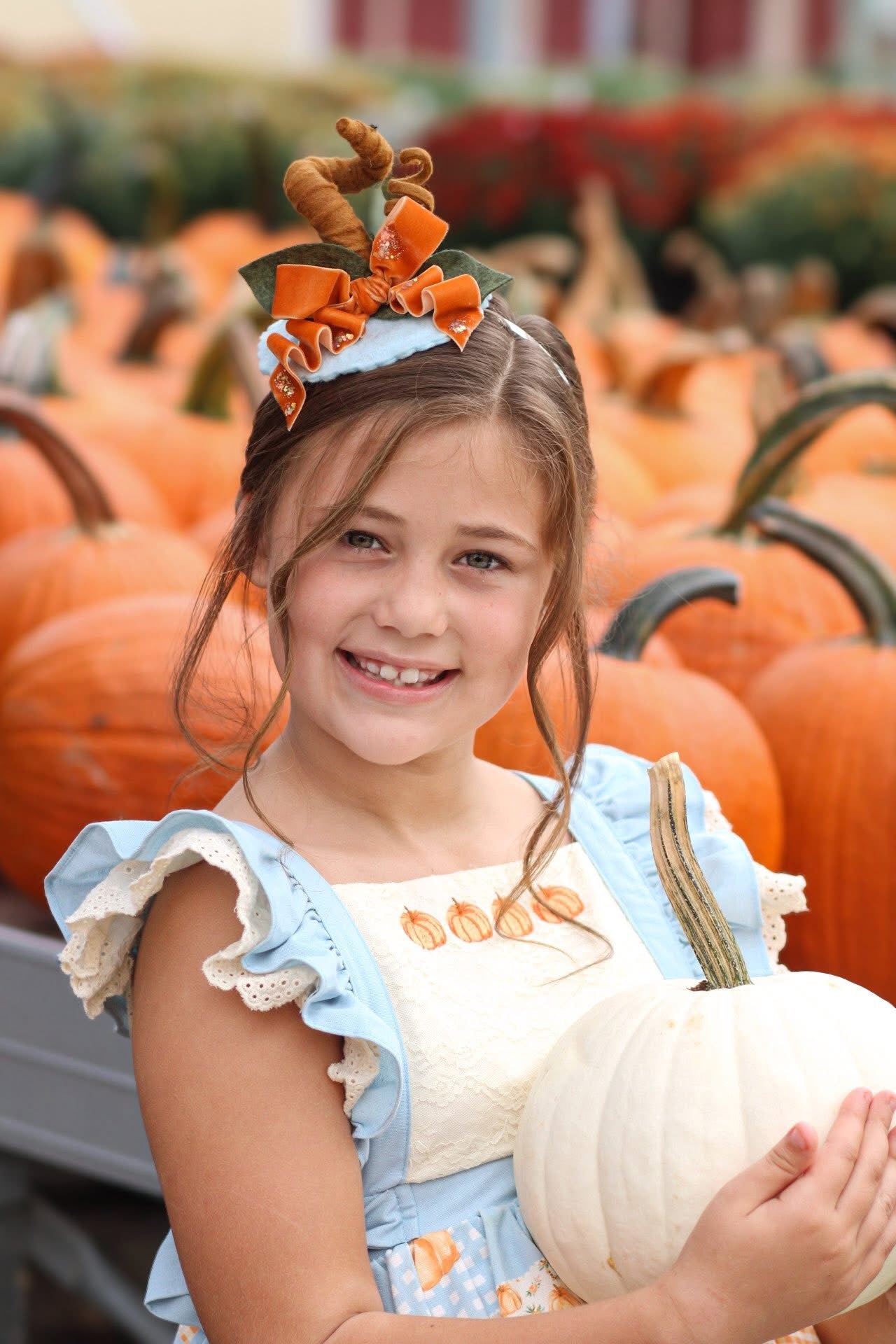 Baby Blue Pumpkin Topper