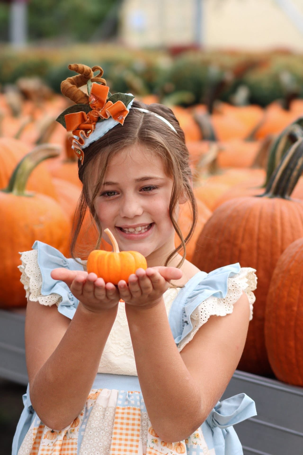 Baby Blue Pumpkin Topper