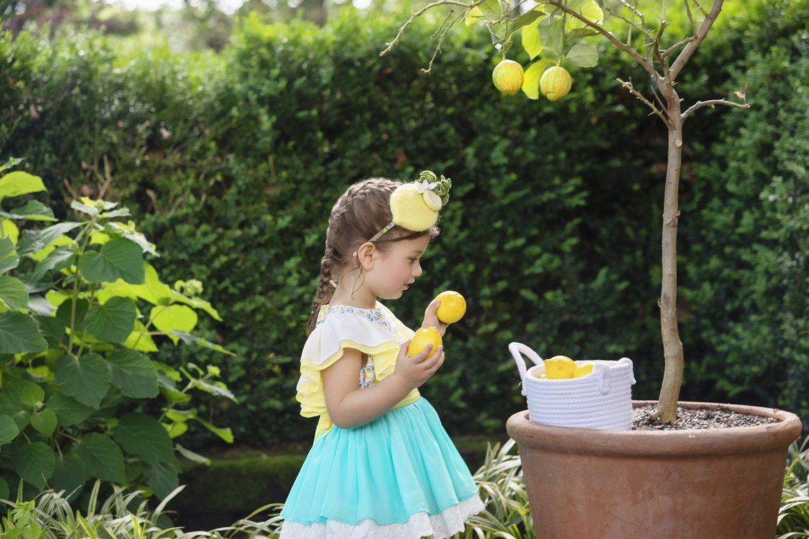 Whole Lemon Side Fascinator