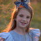 Sunset Dreams Pumpkin Topper