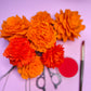 Marigolds & Cempasuchil Flower stems