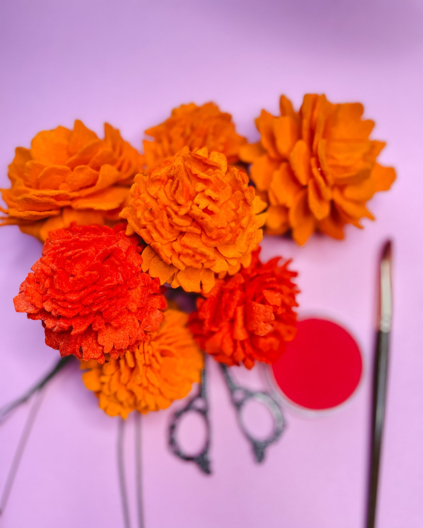 Marigolds & Cempasuchil Flower stems