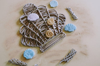 Sea Witch Shell Clips