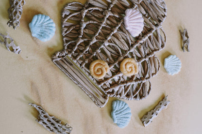 Sea Witch Shell Clips