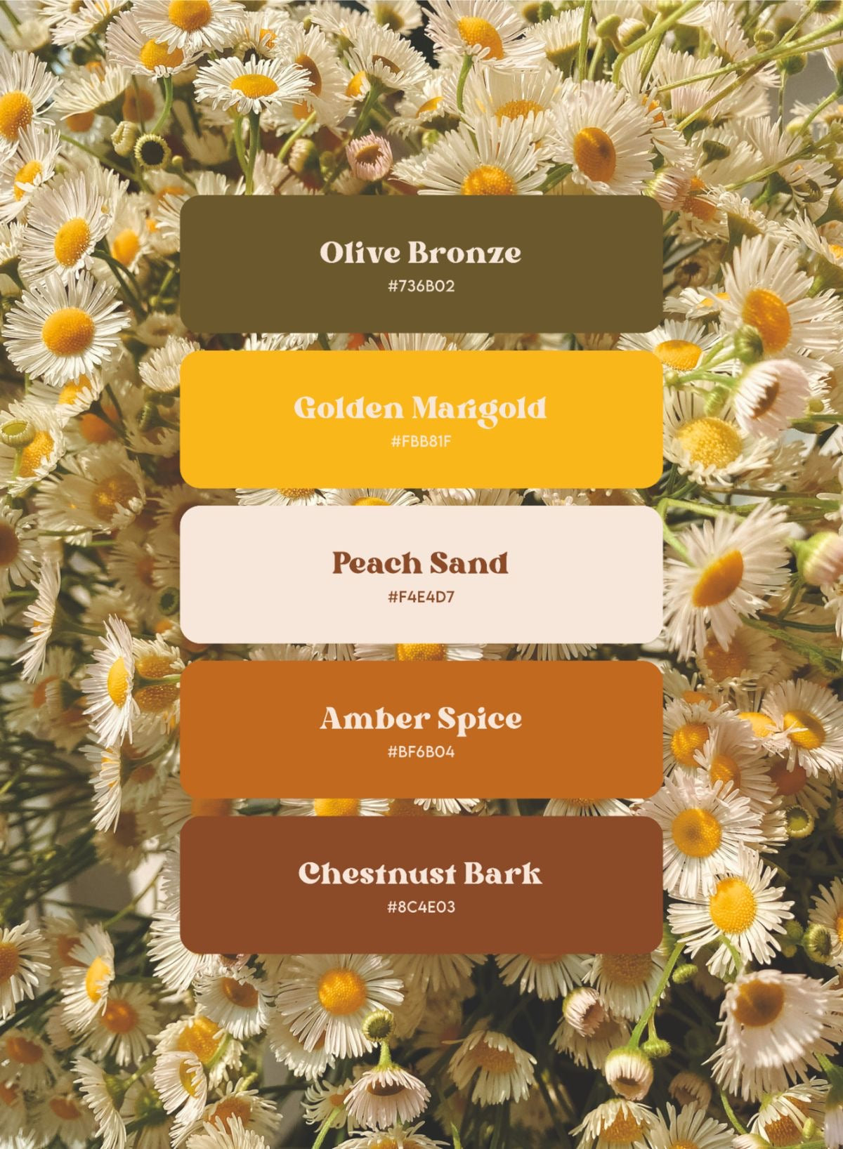 team sunflower preorder