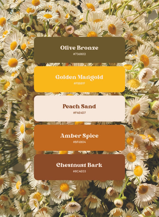 team sunflower preorder