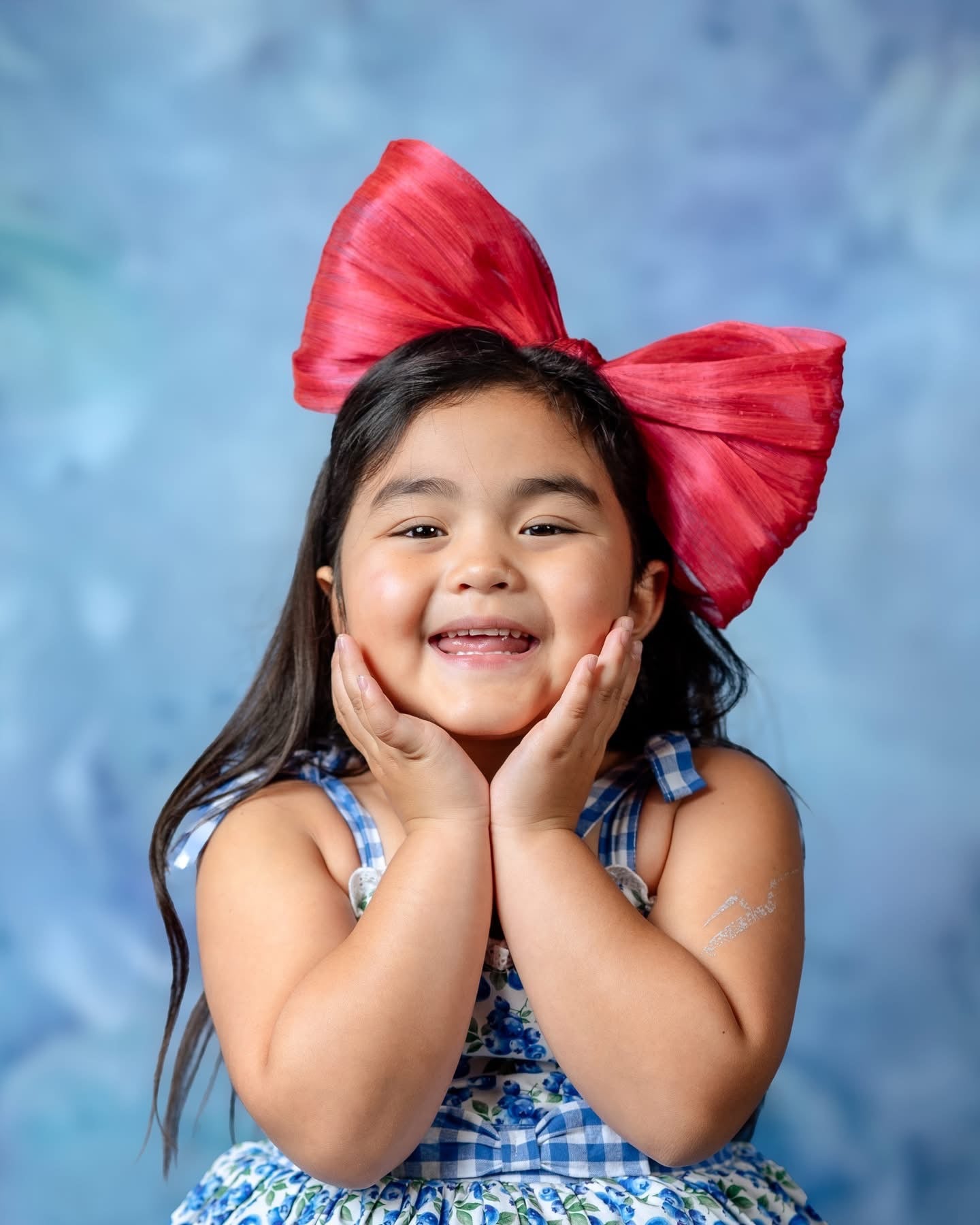 Millinery Red Bow