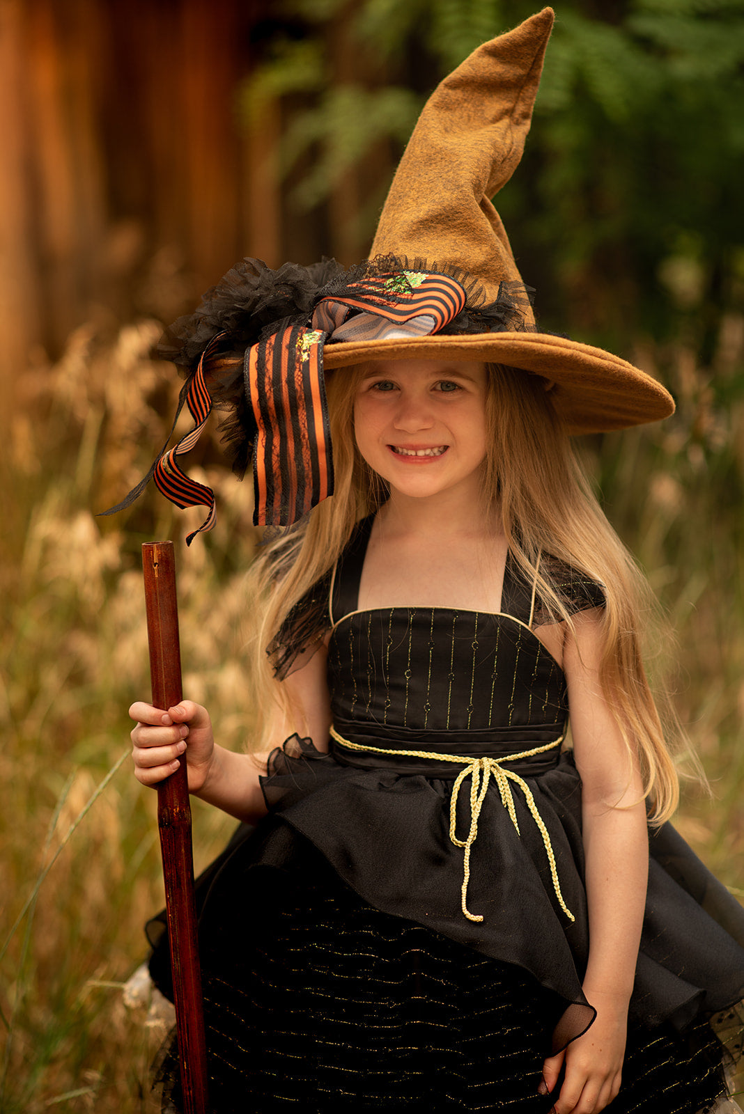 Wizard Hat
