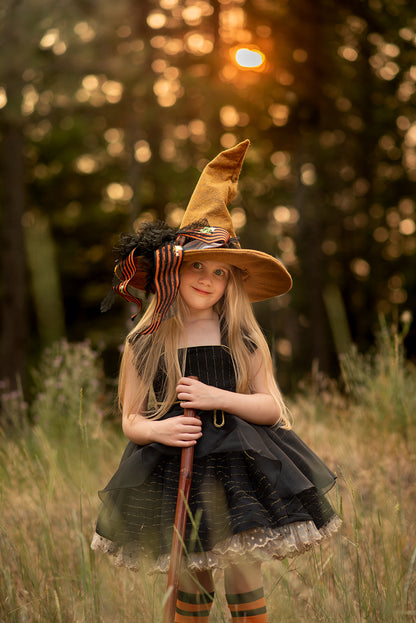 Wizard Hat