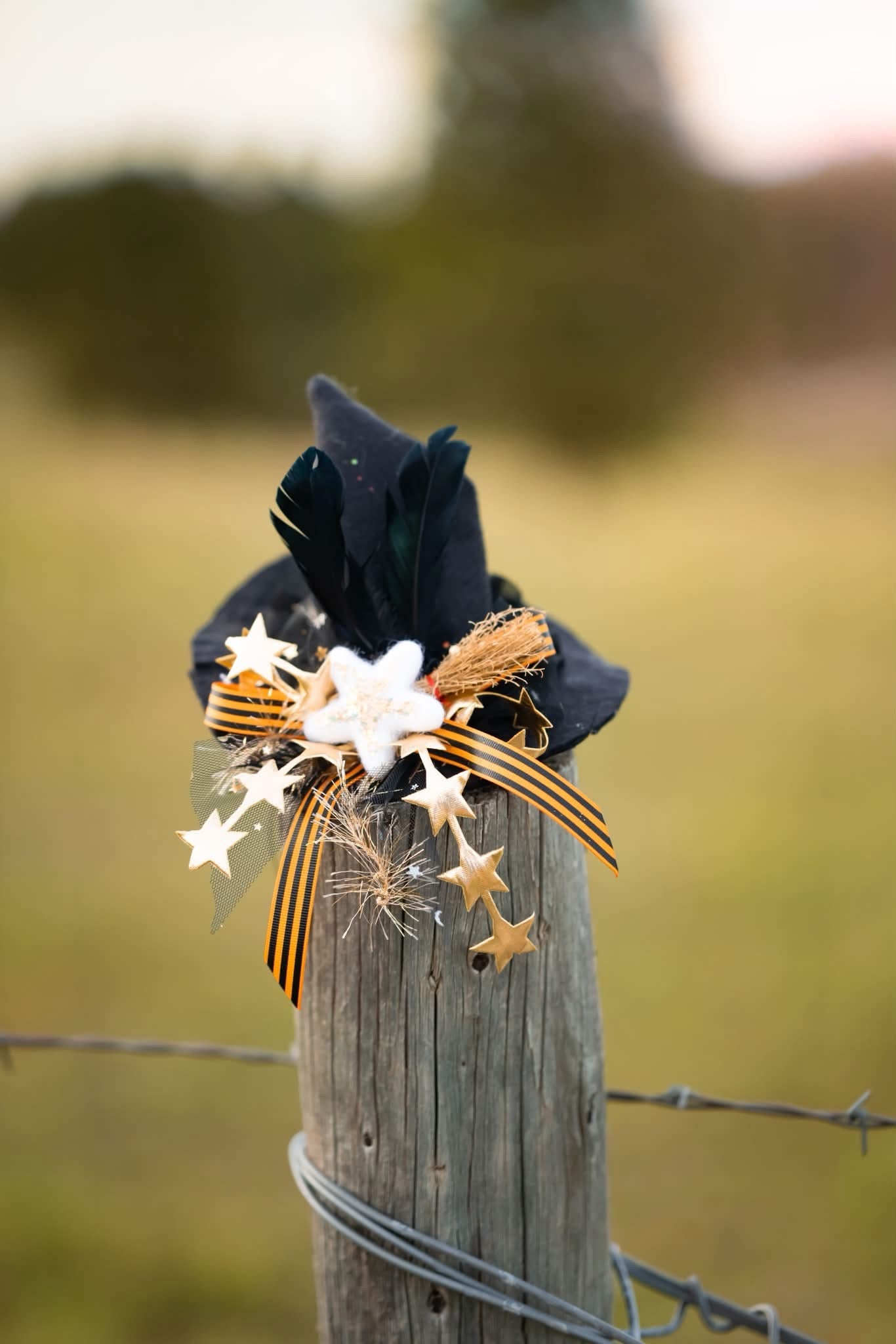 Morgana  Witch Hat