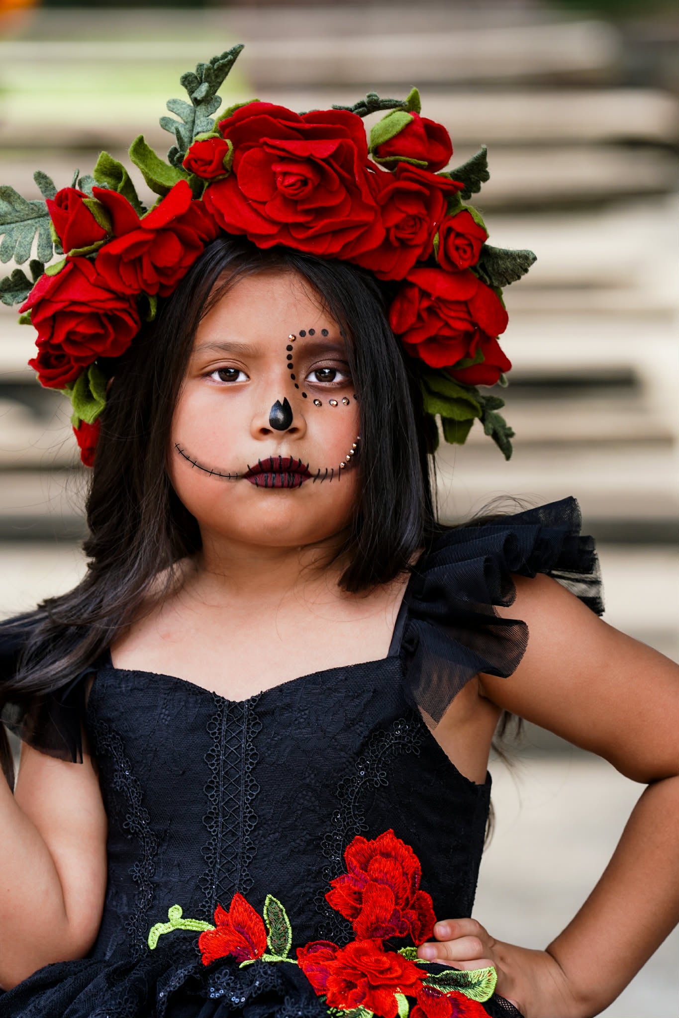 Red Roses Full Halo