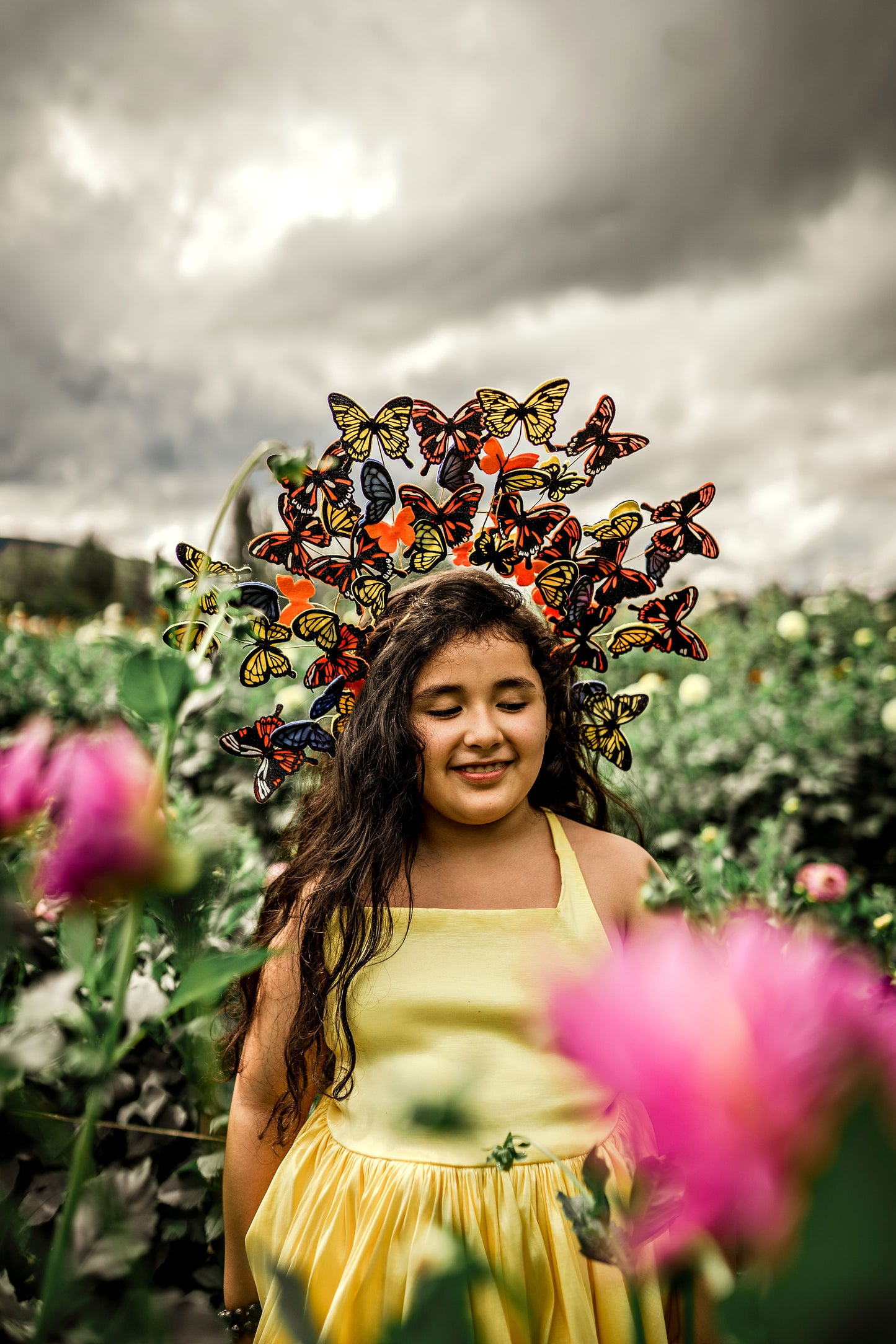 Monarch Headpiece