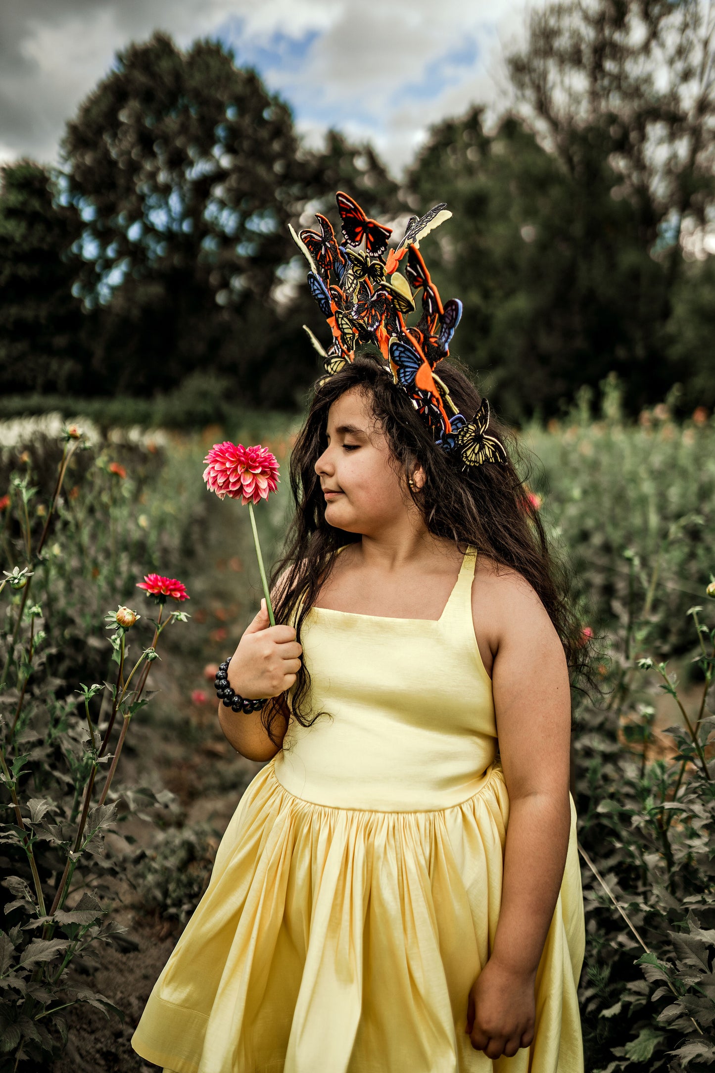 Monarch Headpiece