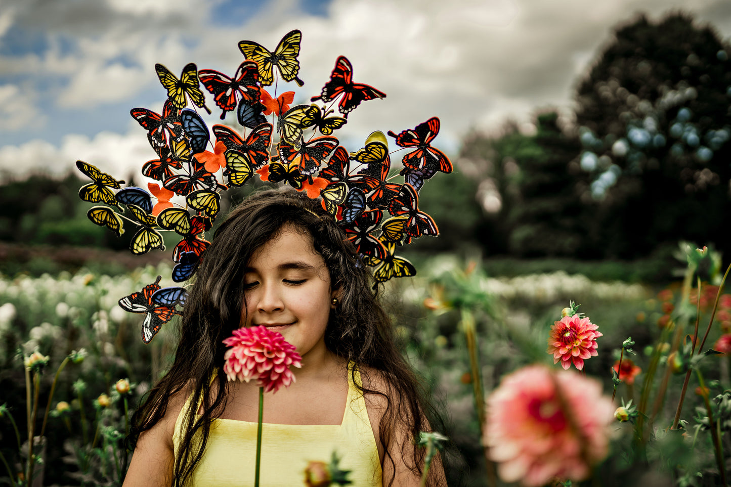 Monarch Headpiece