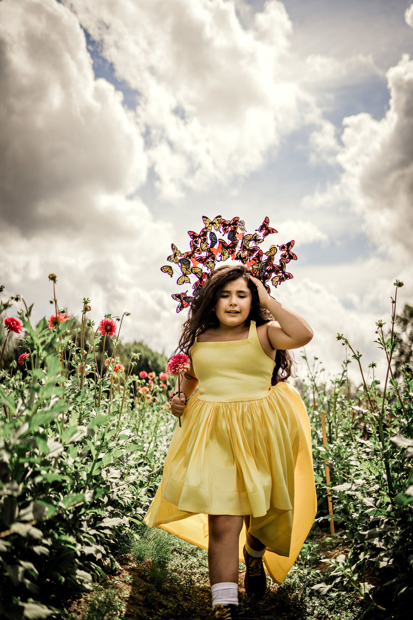 Monarch Headpiece