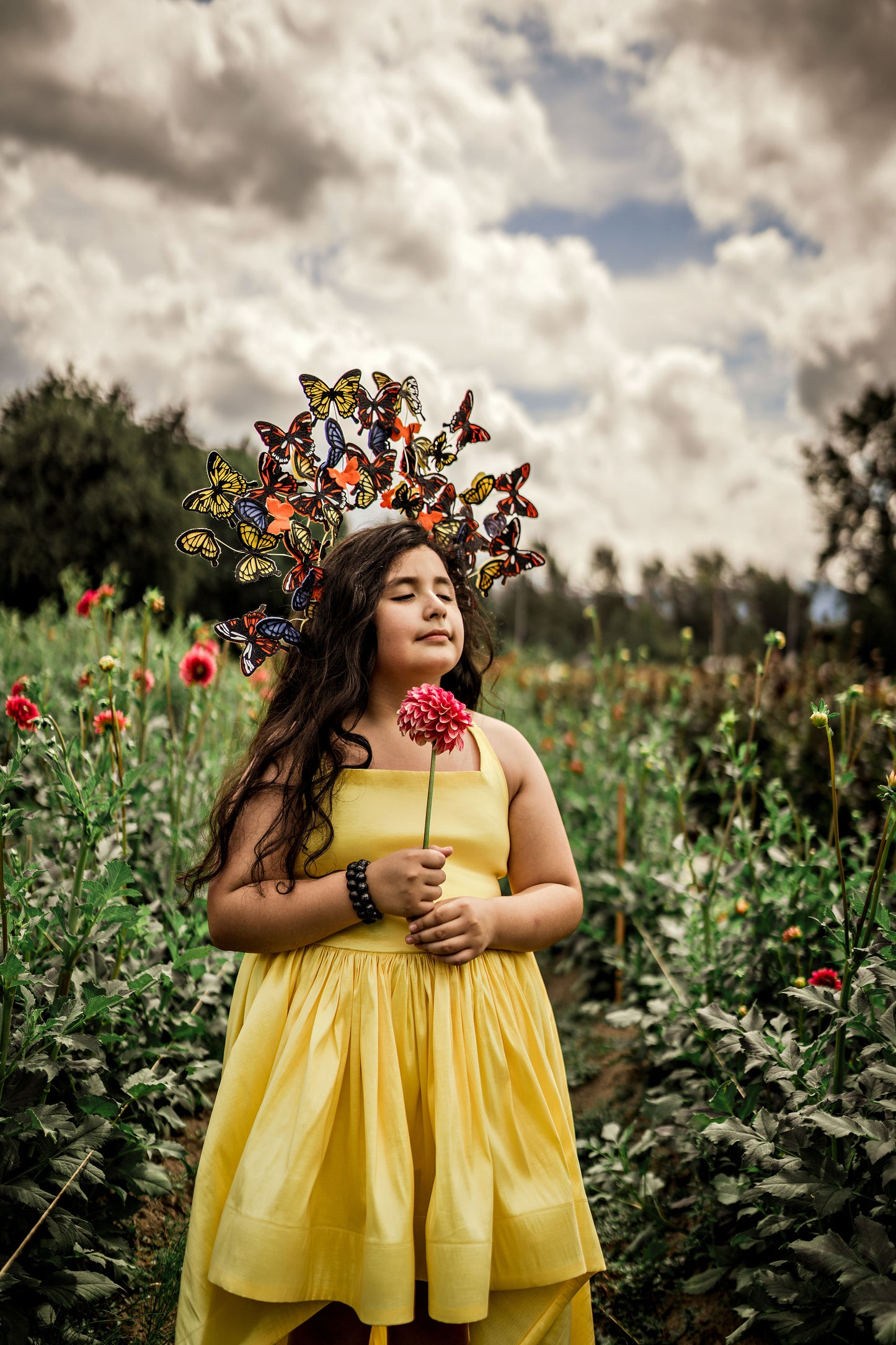 Monarch Headpiece